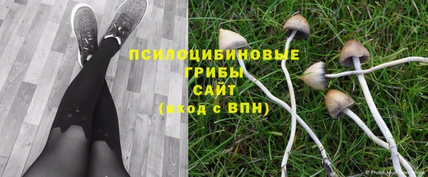 спайс Алексеевка