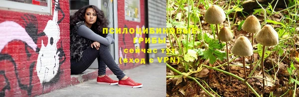 спайс Алексеевка