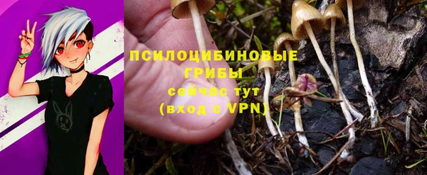 круглые Осташков