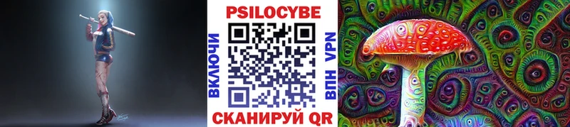 Псилоцибиновые грибы GOLDEN TEACHER  omg вход  Чёрмоз  как найти наркотики 
